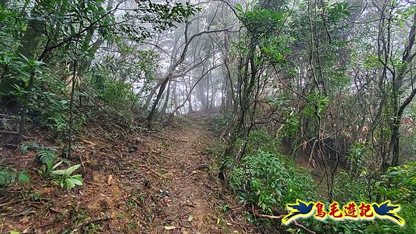 龜媽坑古道(西線)-中心崙-遠望坑古道(福隆-貢寮) (35).jpg