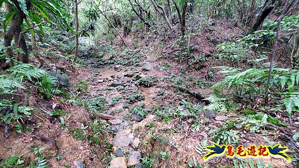 龜媽坑古道(西線)-中心崙-遠望坑古道(福隆-貢寮) (34).jpg