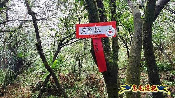 龜媽坑古道(西線)-中心崙-遠望坑古道(福隆-貢寮) (42).jpg