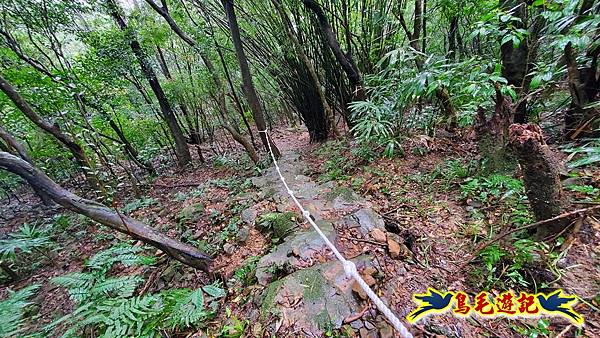 龜媽坑古道(西線)-中心崙-遠望坑古道(福隆-貢寮) (49).jpg