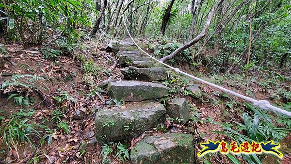 龜媽坑古道(西線)-中心崙-遠望坑古道(福隆-貢寮) (50).jpg