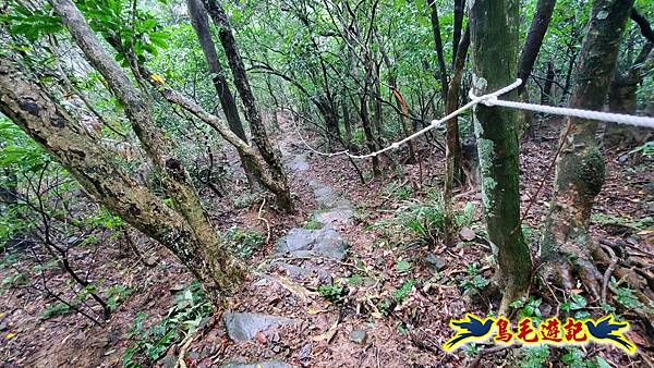 龜媽坑古道(西線)-中心崙-遠望坑古道(福隆-貢寮) (51).jpg