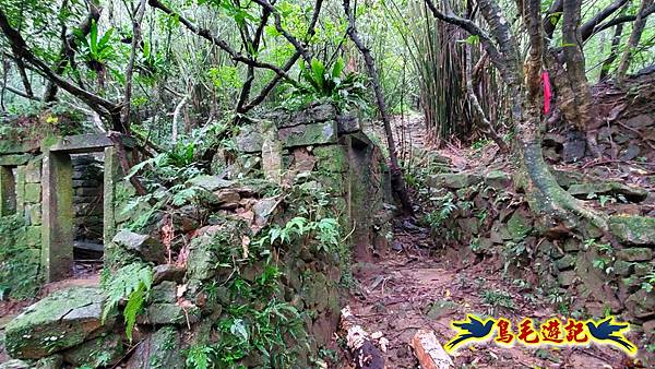 龜媽坑古道(西線)-中心崙-遠望坑古道(福隆-貢寮) (52).jpg