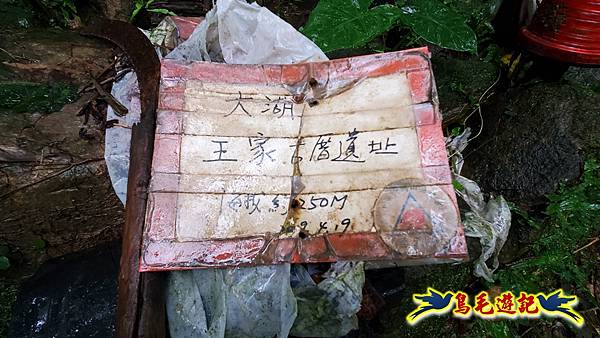 龜媽坑古道(西線)-中心崙-遠望坑古道(福隆-貢寮) (53).jpg