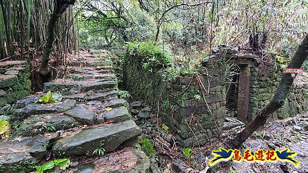 龜媽坑古道(西線)-中心崙-遠望坑古道(福隆-貢寮) (59).jpg