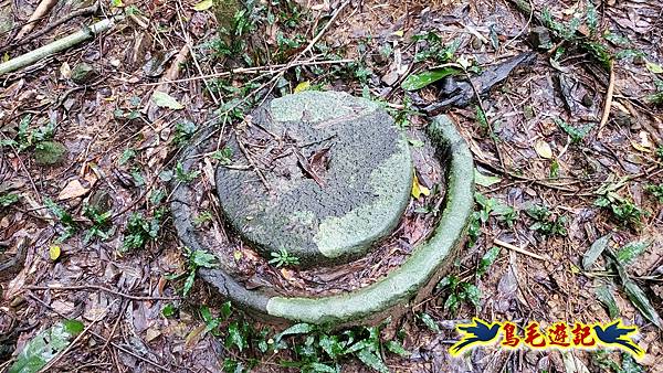 龜媽坑古道(西線)-中心崙-遠望坑古道(福隆-貢寮) (57).jpg