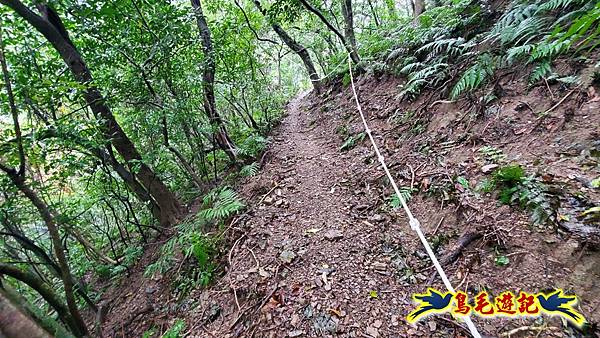 龜媽坑古道(西線)-中心崙-遠望坑古道(福隆-貢寮) (64).jpg