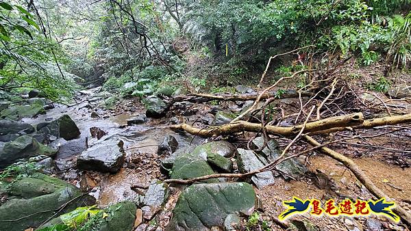 龜媽坑古道(西線)-中心崙-遠望坑古道(福隆-貢寮) (63).jpg