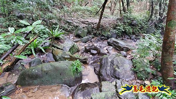 龜媽坑古道(西線)-中心崙-遠望坑古道(福隆-貢寮) (61).jpg