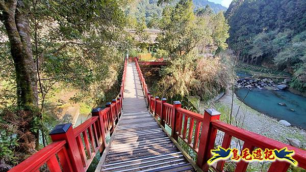 南投杉林溪河岸櫻花-穿林棧道-花卉中心-松瀧岩瀑布-樂山步道 (45).jpg