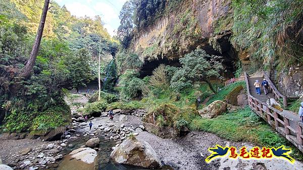 南投杉林溪河岸櫻花-穿林棧道-花卉中心-松瀧岩瀑布-樂山步道 (83).jpg