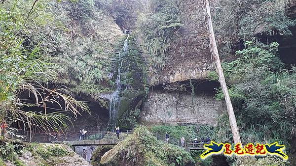 南投杉林溪河岸櫻花-穿林棧道-花卉中心-松瀧岩瀑布-樂山步道 (86).jpg