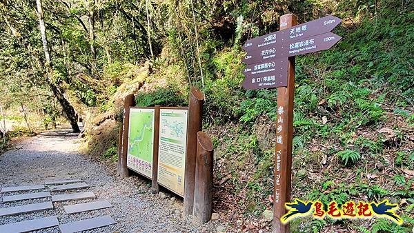 南投杉林溪河岸櫻花-穿林棧道-花卉中心-松瀧岩瀑布-樂山步道 (87).jpg