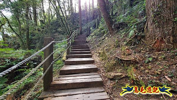 南投杉林溪河岸櫻花-穿林棧道-花卉中心-松瀧岩瀑布-樂山步道 (92).jpg