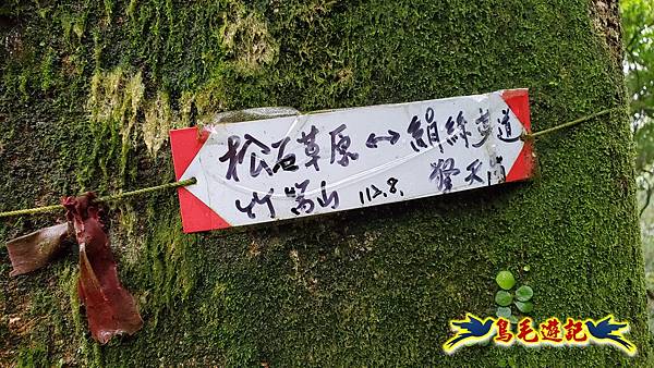 溪內古道-菁礐山(竹篙山西南峰)-木炭窯遺址-竹篙坪-番婆草原-擎天崗 (24).jpg