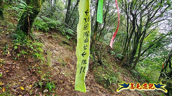 溪內古道-菁礐山(竹篙山西南峰)-木炭窯遺址-竹篙坪-番婆草原-擎天崗 (39).jpg