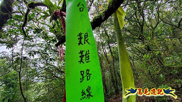 溪內古道-菁礐山(竹篙山西南峰)-木炭窯遺址-竹篙坪-番婆草原-擎天崗 (40).jpg