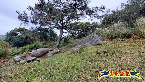 溪內古道-菁礐山(竹篙山西南峰)-木炭窯遺址-竹篙坪-番婆草原-擎天崗 (43).jpg