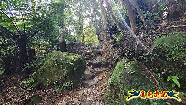 深坑天南宮-阿柔洋山-猴山岳主峰-前峰-林家草厝P形 (52).jpg