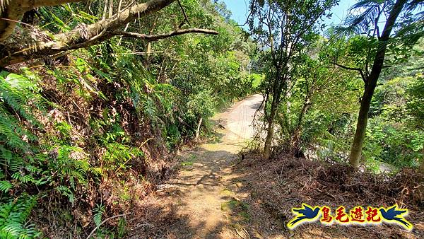 深坑天南宮-阿柔洋山-猴山岳主峰-前峰-林家草厝P形 (54).jpg