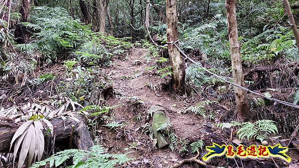 麻竹寮山-向天湖古道-昇高坑山-筆架連峰7.6 (6).jpg