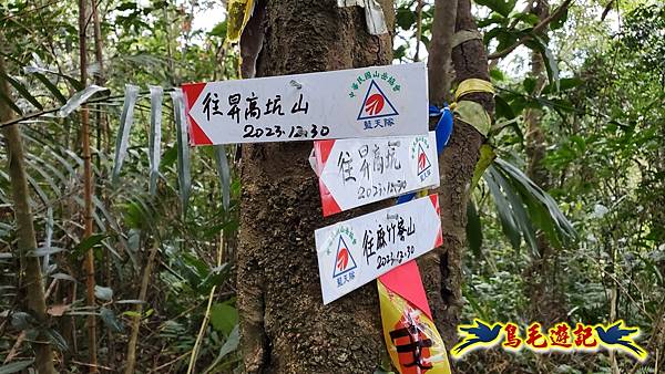 麻竹寮山-向天湖古道-昇高坑山-筆架連峰7.6 (11).jpg