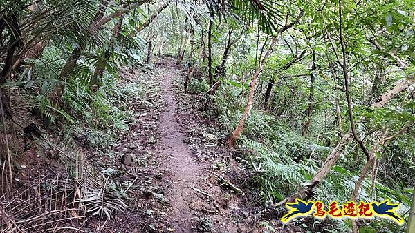 麻竹寮山-向天湖古道-昇高坑山-筆架連峰7.6 (42).jpg