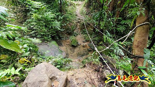 麻竹寮山-向天湖古道-昇高坑山-筆架連峰7.6 (52).jpg