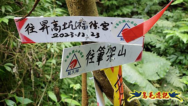 麻竹寮山-向天湖古道-昇高坑山-筆架連峰7.6 (55).jpg