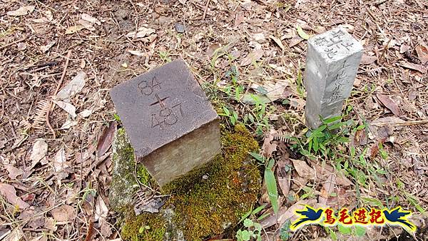 麻竹寮山-向天湖古道-昇高坑山-筆架連峰7.6 (60).jpg