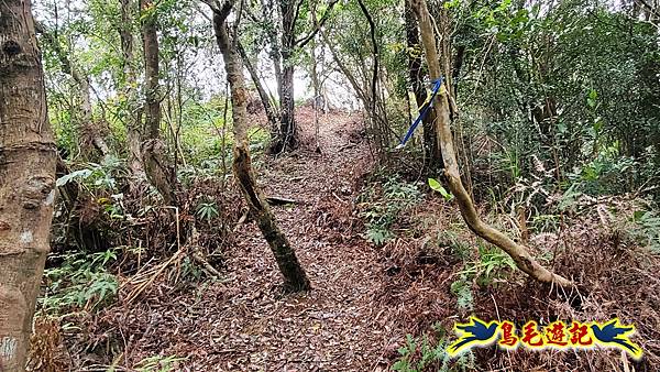 麻竹寮山-向天湖古道-昇高坑山-筆架連峰7.6 (59).jpg