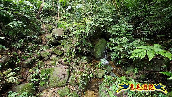 麻竹寮山-向天湖古道-昇高坑山-筆架連峰7.6 (67).jpg