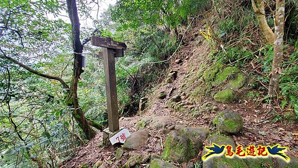 麻竹寮山-向天湖古道-昇高坑山-筆架連峰7.6 (73).jpg