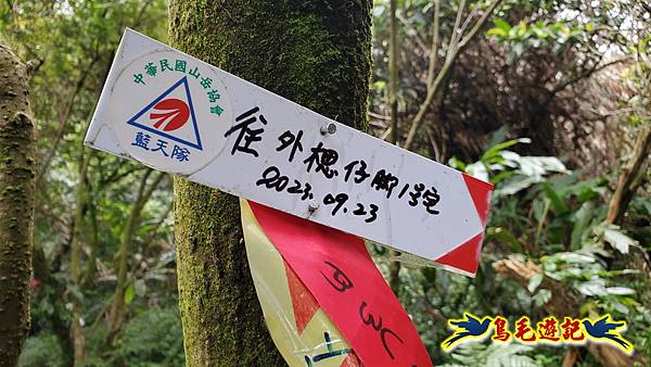 麻竹寮山-向天湖古道-昇高坑山-筆架連峰7.6 (78).jpg