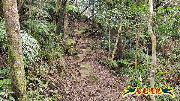 麻竹寮山-向天湖古道-昇高坑山-筆架連峰7.6 (77).jpg