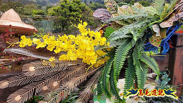 竹子湖海芋花開 (9).jpg