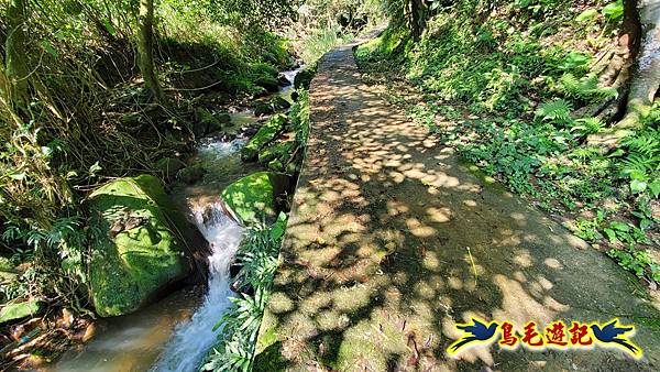 萬里玉田古道、採金礦坑、八斗山 (4).jpg