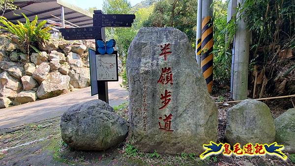 陽明山中山樓吉野櫻盛開%26;橫嶺古道環狀步道 (29).jpg