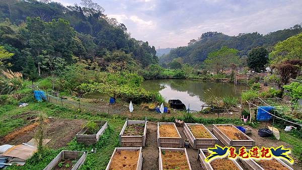 新竹倒別牛山-板根森林-中坑山-飛鳳山步道P形 (6).jpg 新竹倒別牛山-板根森林-中坑山-飛鳳山步道P形 (6).jpg