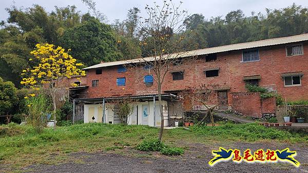 新竹倒別牛山-板根森林-中坑山-飛鳳山步道P形 (5).jpg