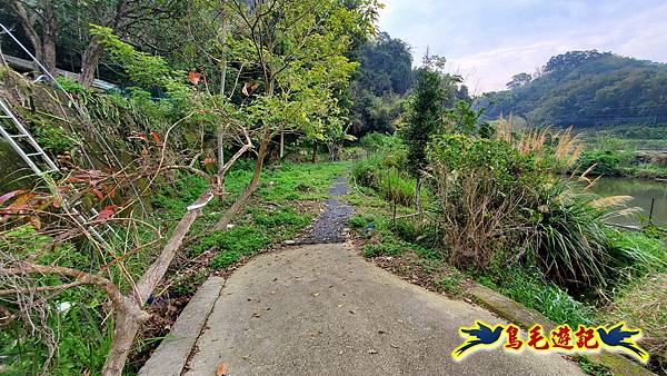 新竹倒別牛山-板根森林-中坑山-飛鳳山步道P形 (7).jpg
