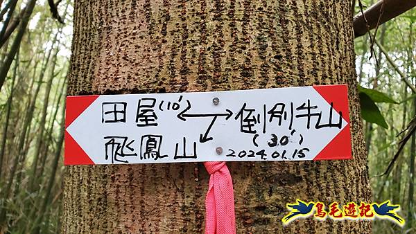 新竹倒別牛山-板根森林-中坑山-飛鳳山步道P形 (12).jpg 新竹倒別牛山-板根森林-中坑山-飛鳳山步道P形 (12).jpg