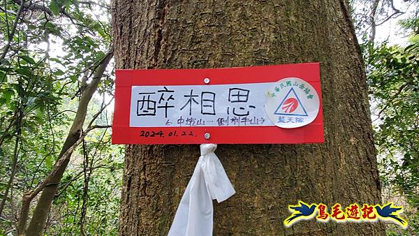 新竹倒別牛山-板根森林-中坑山-飛鳳山步道P形 (15).jpg