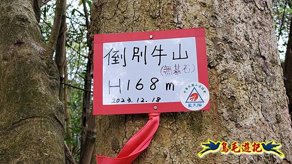 新竹倒別牛山-板根森林-中坑山-飛鳳山步道P形 (20).jpg 新竹倒別牛山-板根森林-中坑山-飛鳳山步道P形 (20).jpg