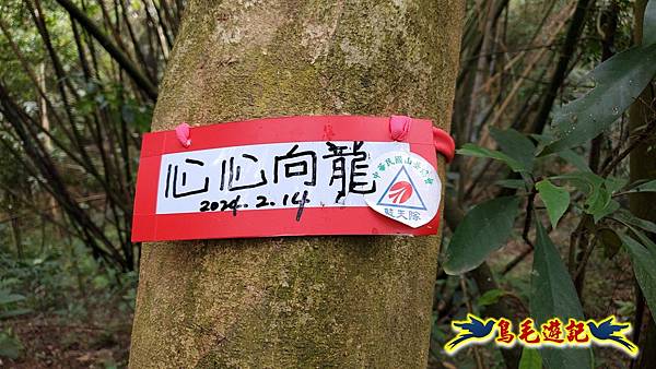 新竹倒別牛山-板根森林-中坑山-飛鳳山步道P形 (27).jpg