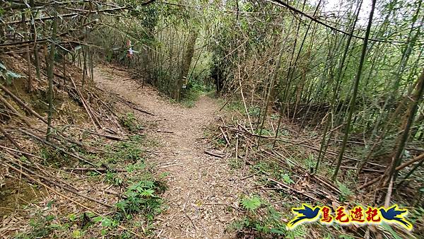 新竹倒別牛山-板根森林-中坑山-飛鳳山步道P形 (32).jpg 新竹倒別牛山-板根森林-中坑山-飛鳳山步道P形 (32).jpg