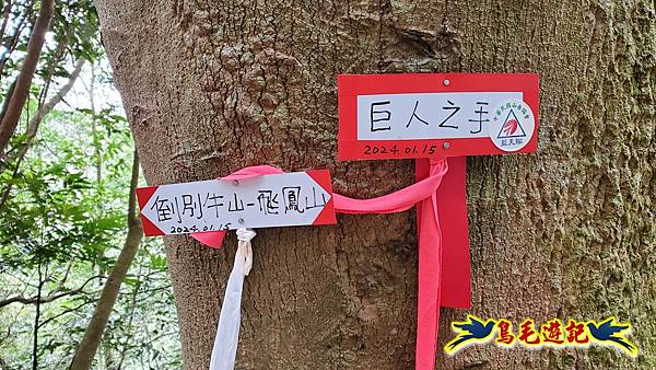 新竹倒別牛山-板根森林-中坑山-飛鳳山步道P形 (43).jpg