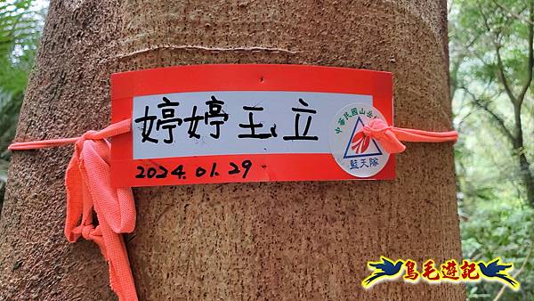 新竹倒別牛山-板根森林-中坑山-飛鳳山步道P形 (46).jpg 新竹倒別牛山-板根森林-中坑山-飛鳳山步道P形 (46).jpg