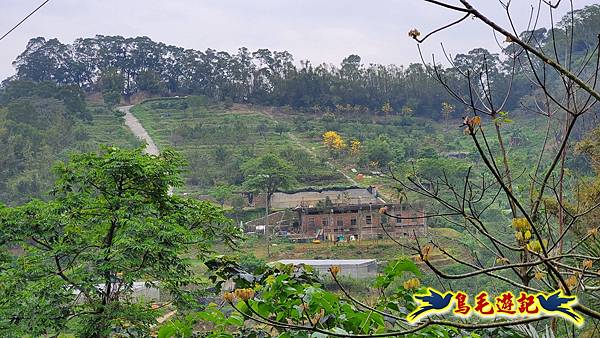 新竹倒別牛山-板根森林-中坑山-飛鳳山步道P形 (52).jpg