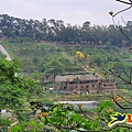 新竹倒別牛山-板根森林-中坑山-飛鳳山步道P形 (52).jpg